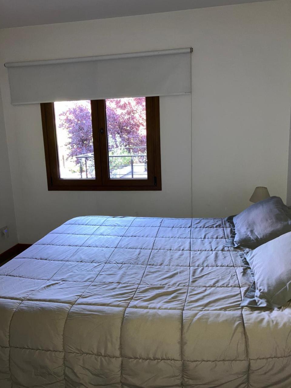 Comodo Departamento Centrico En San Martin De Los Andes Exterior photo